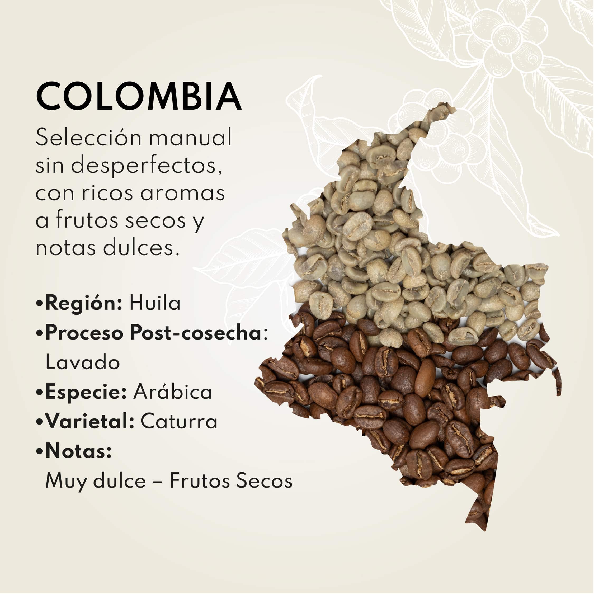 Café de Colombia Caturra en grano 250g - Image 2