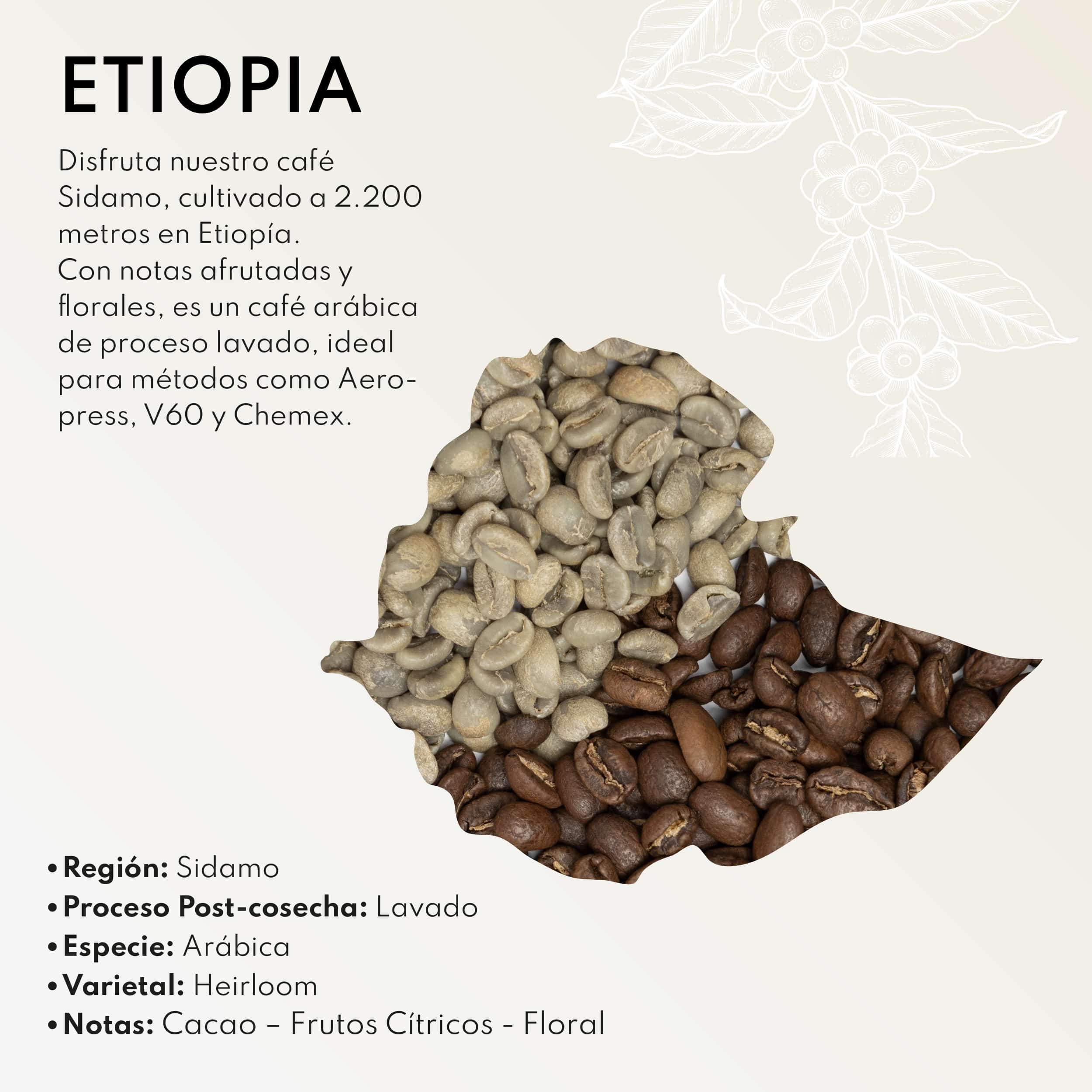 Infografía del café Etiopía Sidamo Grado 1 Heirloom con datos de trazabilidad y mapa