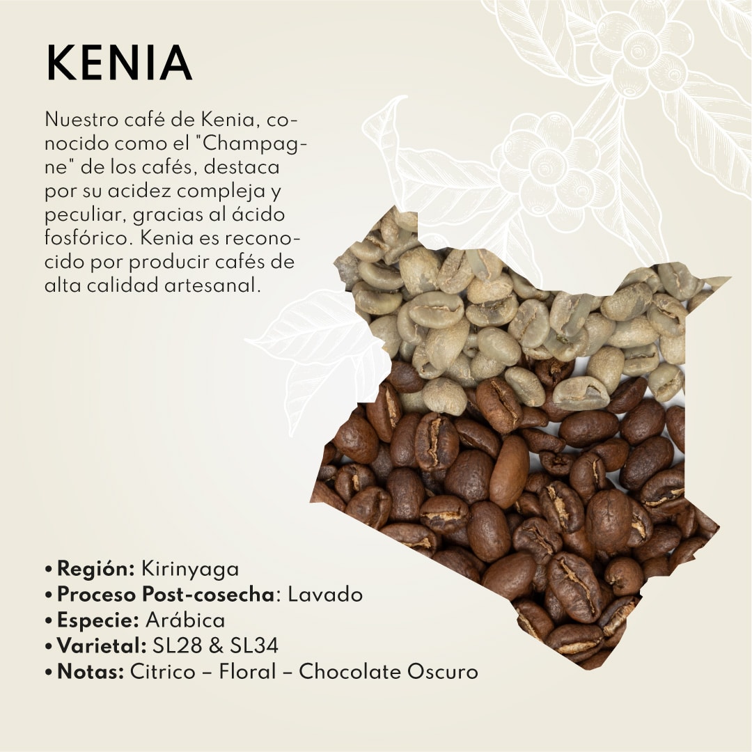 CAFE-ORIGEN-KENIA
